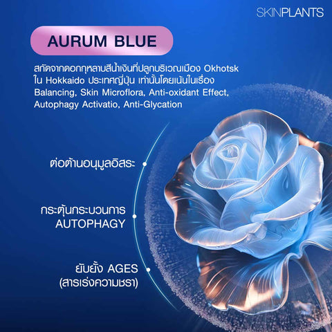 AURUM BLUE ROSE ETERNAL POWER OVERNIGHT SLEEPING MASK