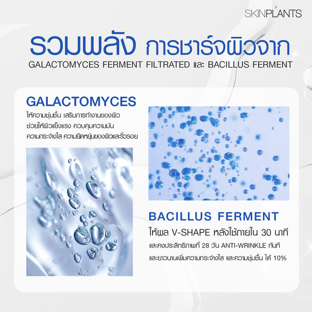 Galactivate Concentrate Essence Serum Ampule Set 30 ml